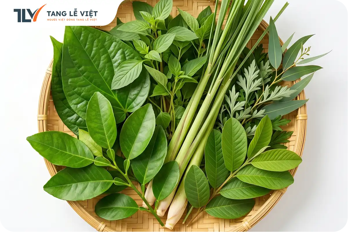NGUYÊN LIỆU ĐẾN TỪ TỰ NHIÊN