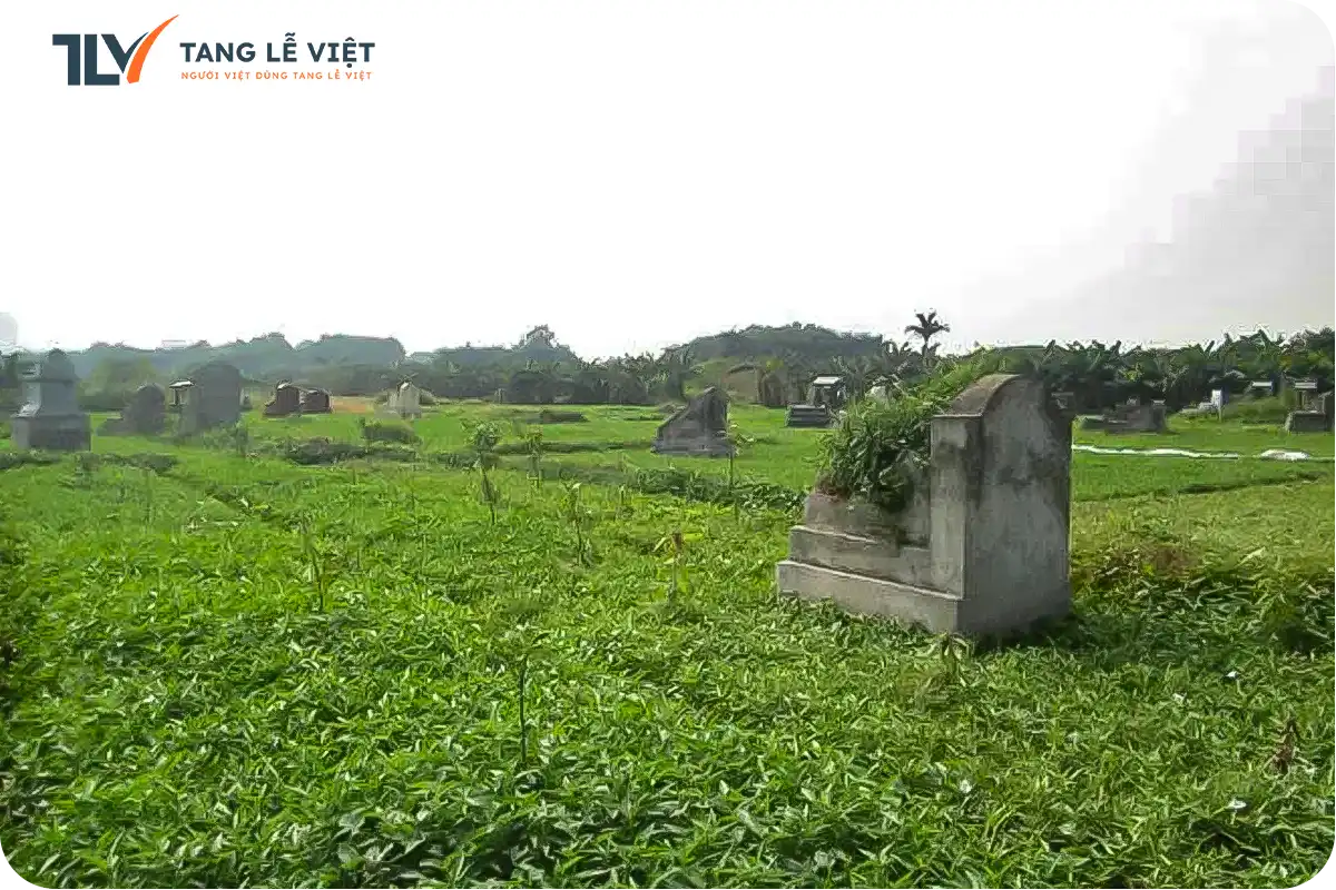 BÃI THA MA TỰ PHÁT